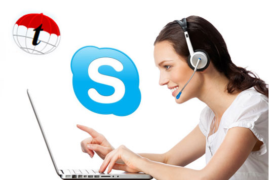 Онлайн-обучение Skype